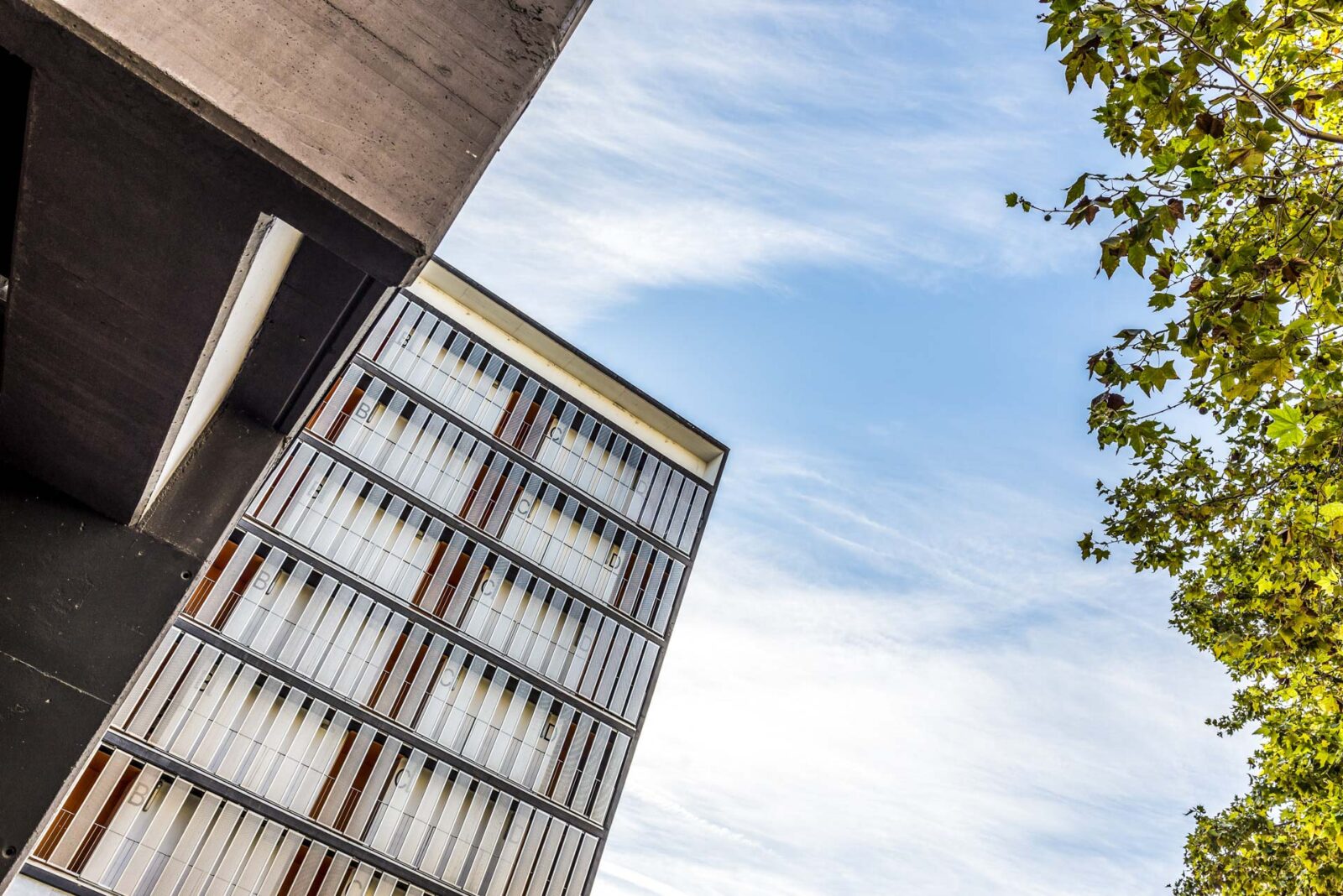 particolare di edificio con vetrate